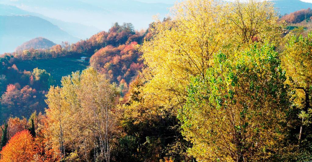 شقة Borgo San Rocco Piemonte Castino المظهر الخارجي الصورة