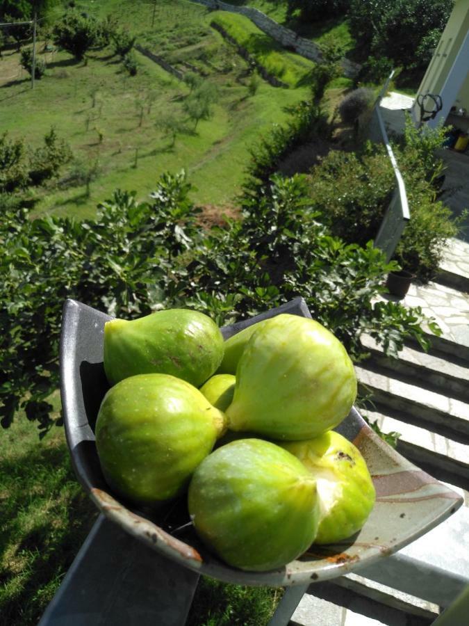 شقة Borgo San Rocco Piemonte Castino المظهر الخارجي الصورة